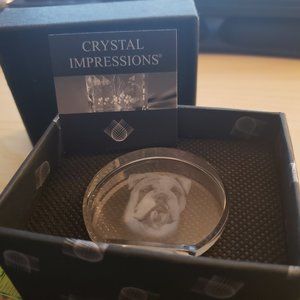 NIB Bulldog Crystal Engraved Stand On Its Own Small UGA